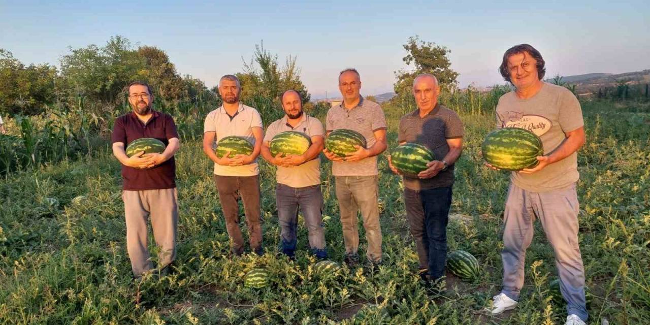 Vezirköprü Ovası’nda Alternatif Ürün ’karpuz’