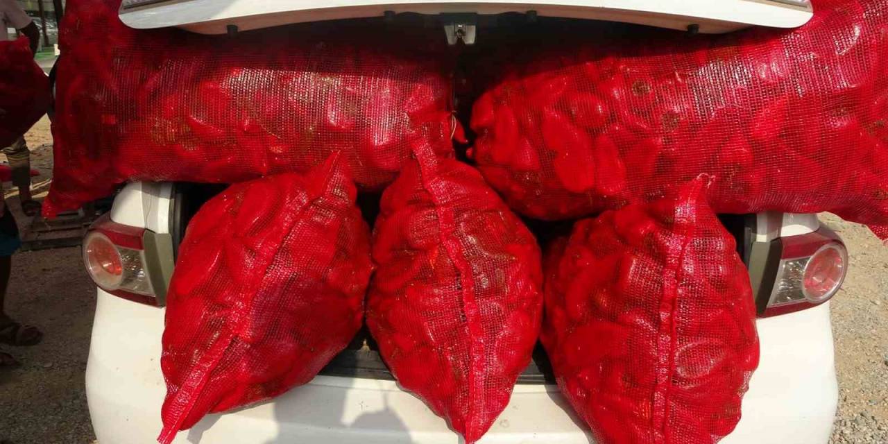 Biberin Meşakkatli Salça Yolculuğu Başladı