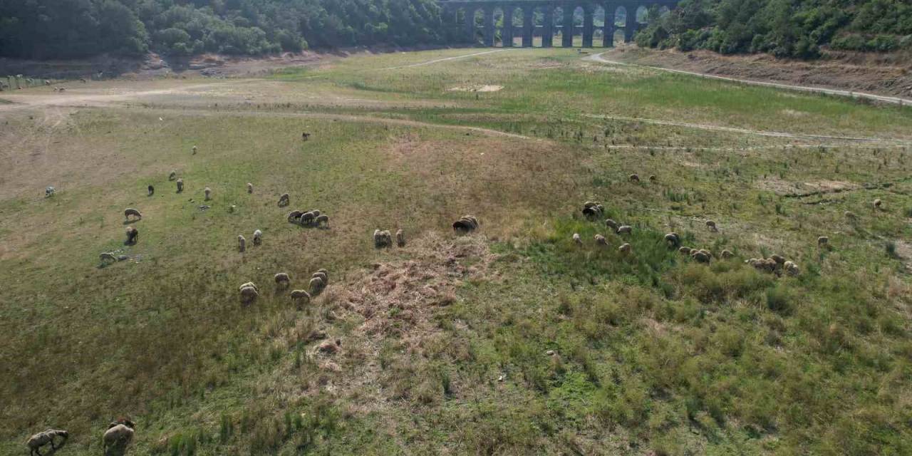 İstanbul’daki Barajların Su Seviyesi Yüzde 32.38 Seviyelerine Kadar Geriledi