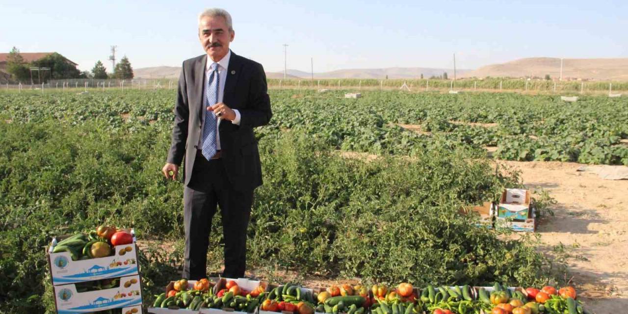 Karaman’ın Ayrancı İlçesinde Halk Salatalık Ve Domatesin Kilosunu 1 Liradan Alıyor