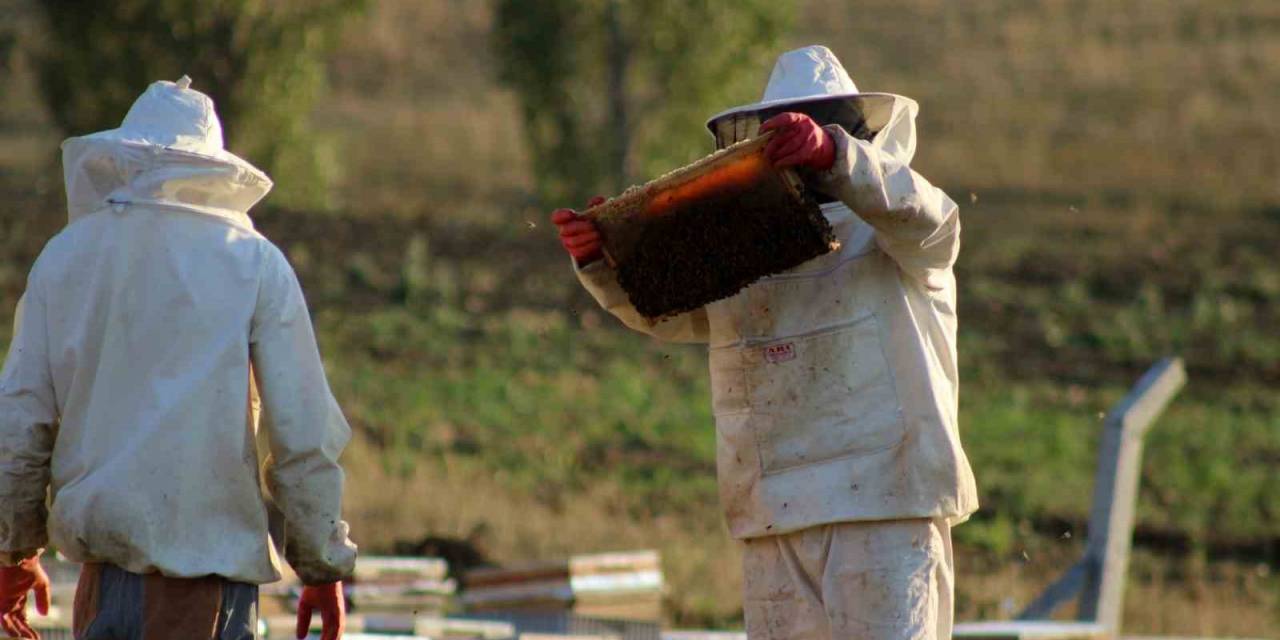 Sıcaklık Ve İklim Değişikliği Bal Rekoltesini Düşürdü