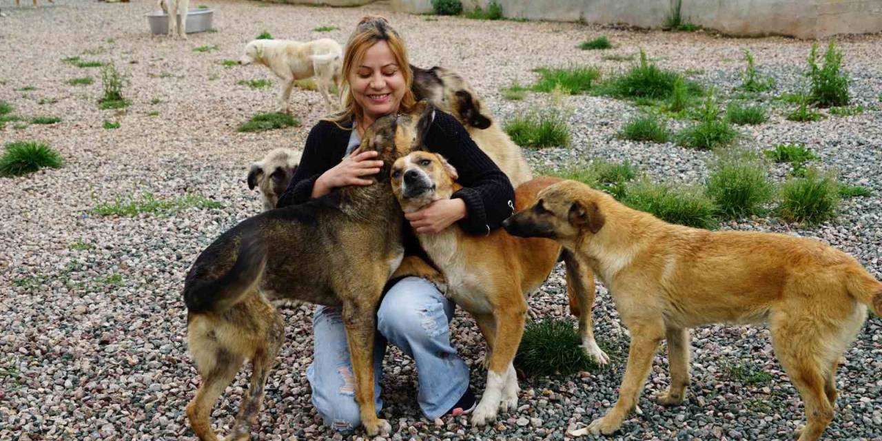 Besleme Yaparken Engelli Hayvanlardan Etkilendi, Onlar İçin Bakımevi Kurdu