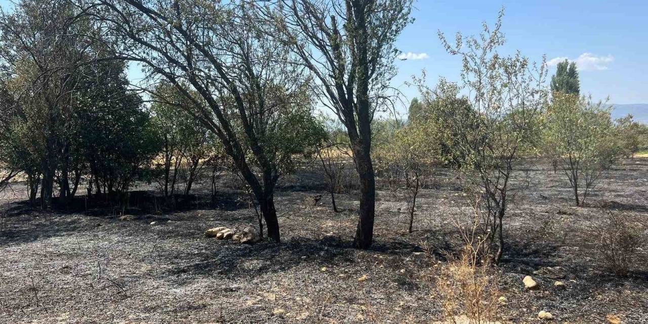 Burdur’da 100 Adet Meyve Ağacı Ve 50 Dönüm Arazi Yandı