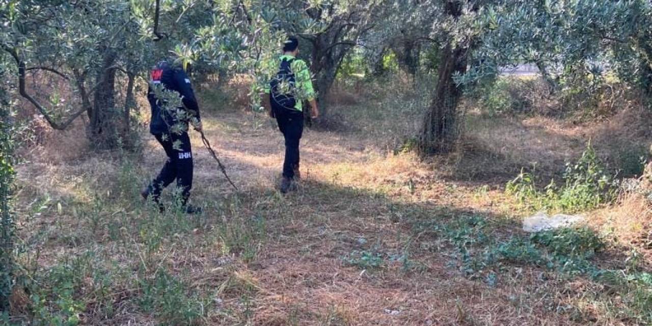 Kayıp Öğretmeni Arama Çalışmaları Devam Ediyor