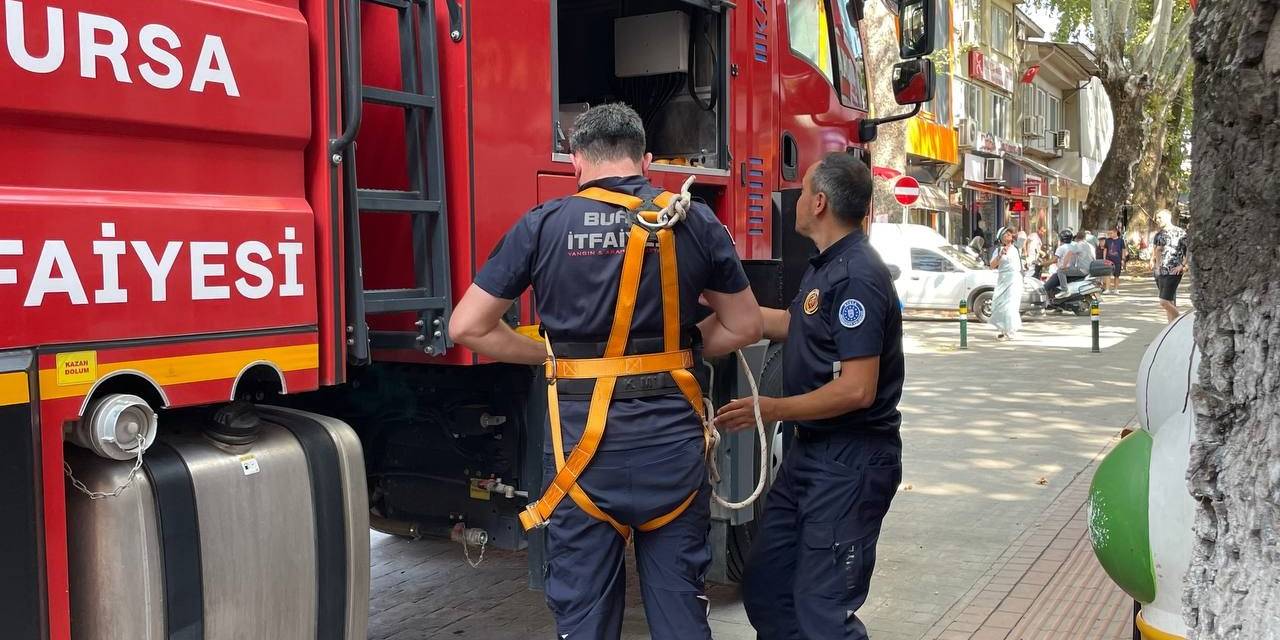 152 Yıllık Anıt Ağaçta Mahsur Kalan Kuş İtfaiye Ekipleri Tarafından Kurtarıldı