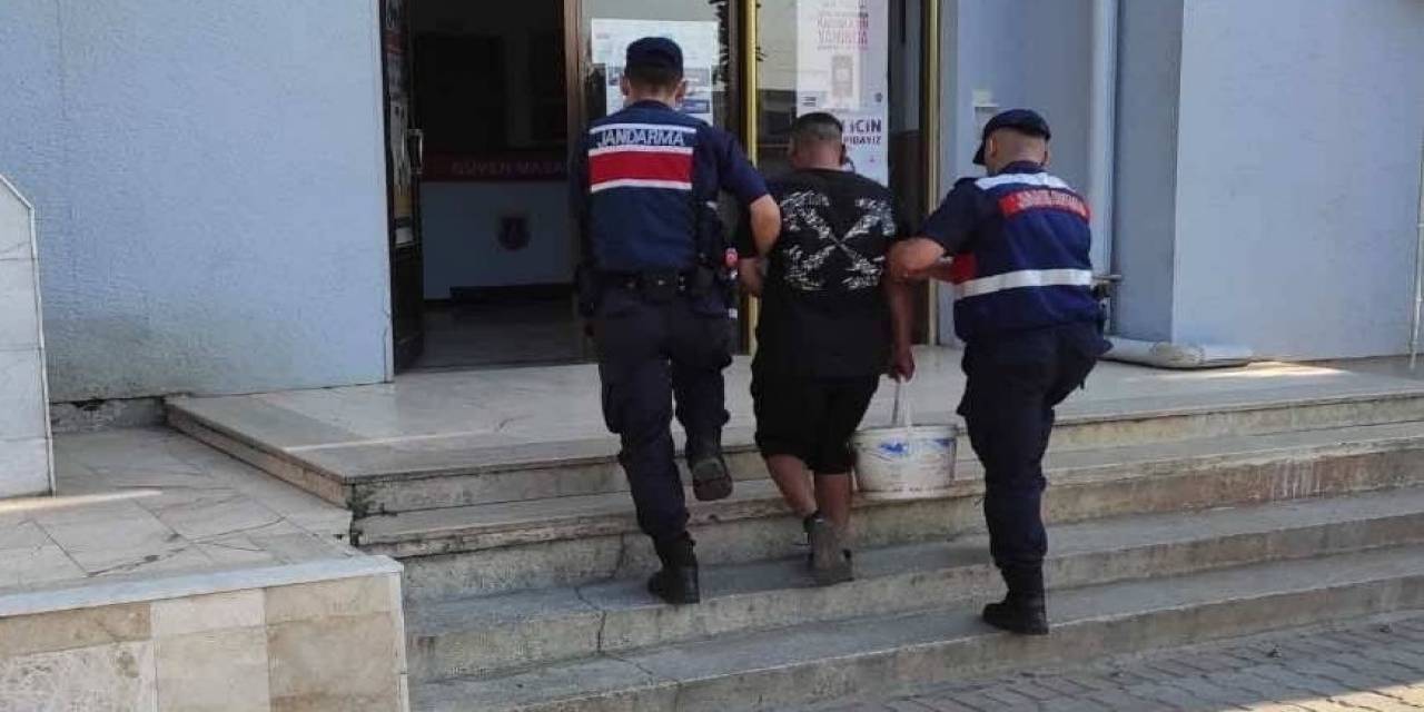 İncir Hırsızı Suçüstü Yakalandı