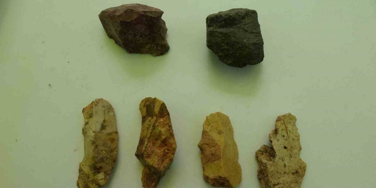 86 Bin Yıllık Hayat İzi