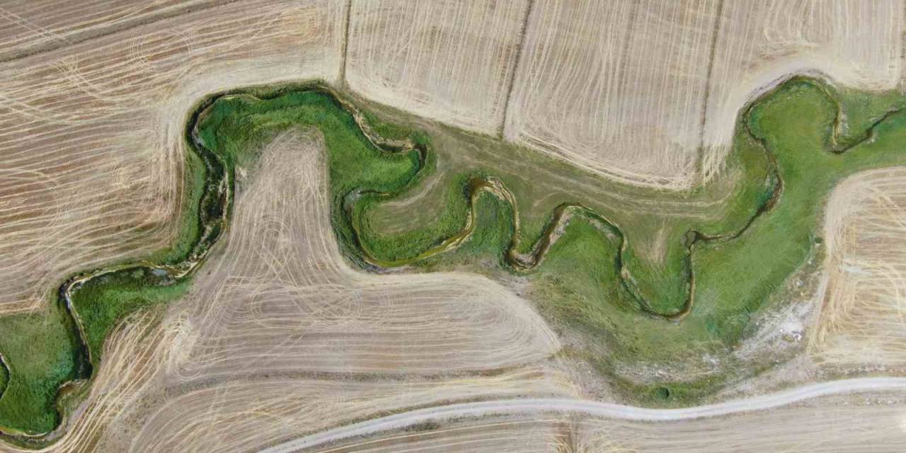 Bozkır Ortasındaki Gizli Hayat Dron İle Görüntülendi