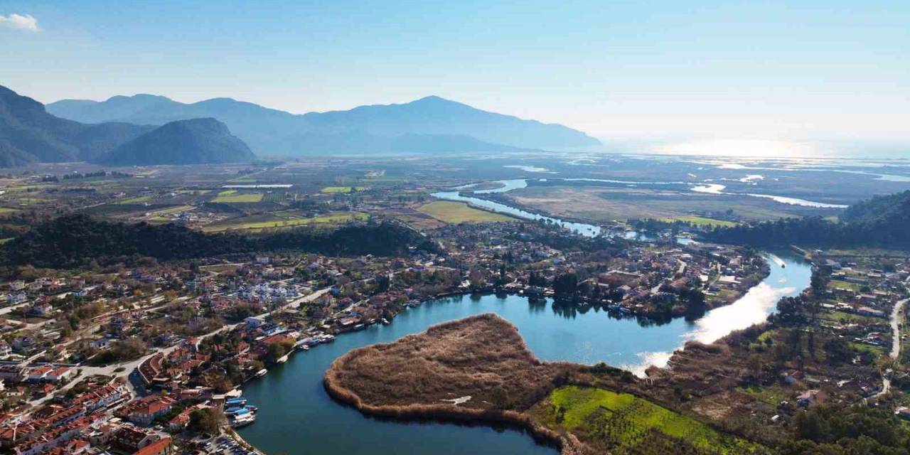 Gören Bir Daha Görmeye Geliyor