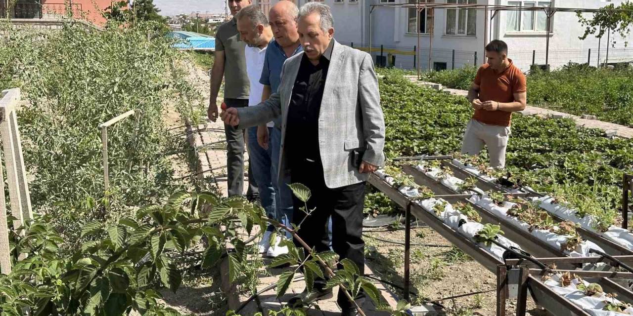 Talas’ta Deneme Bahçeleri Model Oluyor