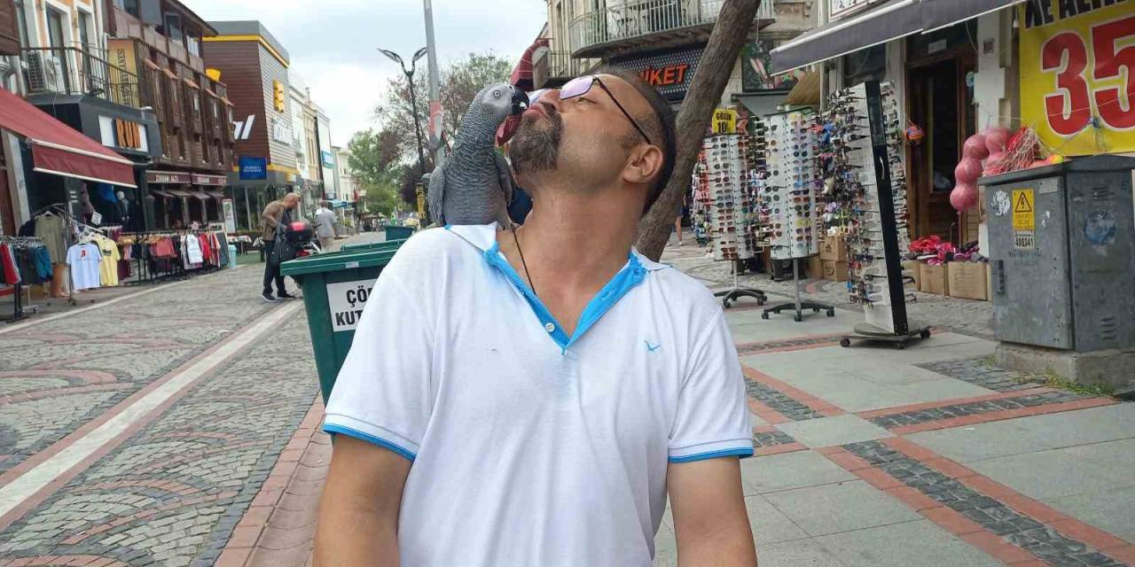 Hayat Arkadaşı Papağanı İle Sokaklarda Geziyor