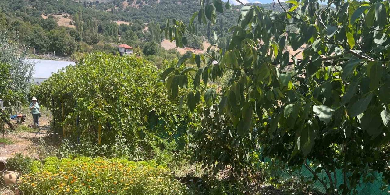 Mamak Belediyesi Çiftçilerin Yanında