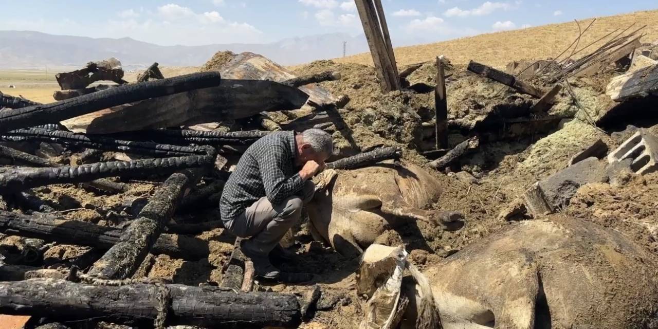Yangında 7 İneğini Kaybeden Vatandaş Hüngür Hüngür Ağladı