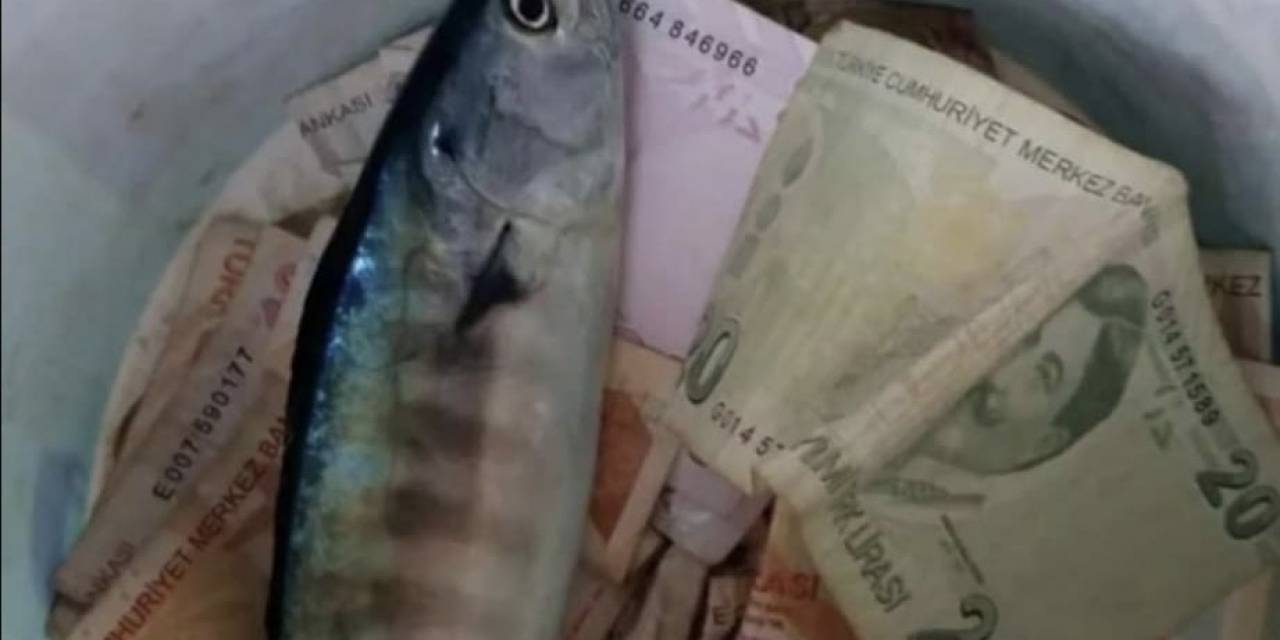 Kıyıköy’de Balıkçının Şansı Tutuldu