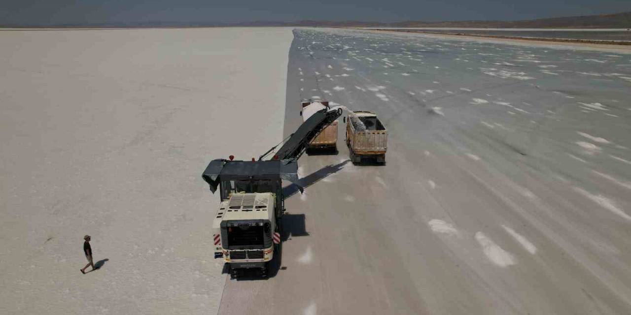 Yemeklerin Olmazsa Olmazı Tuzun Hikayesi