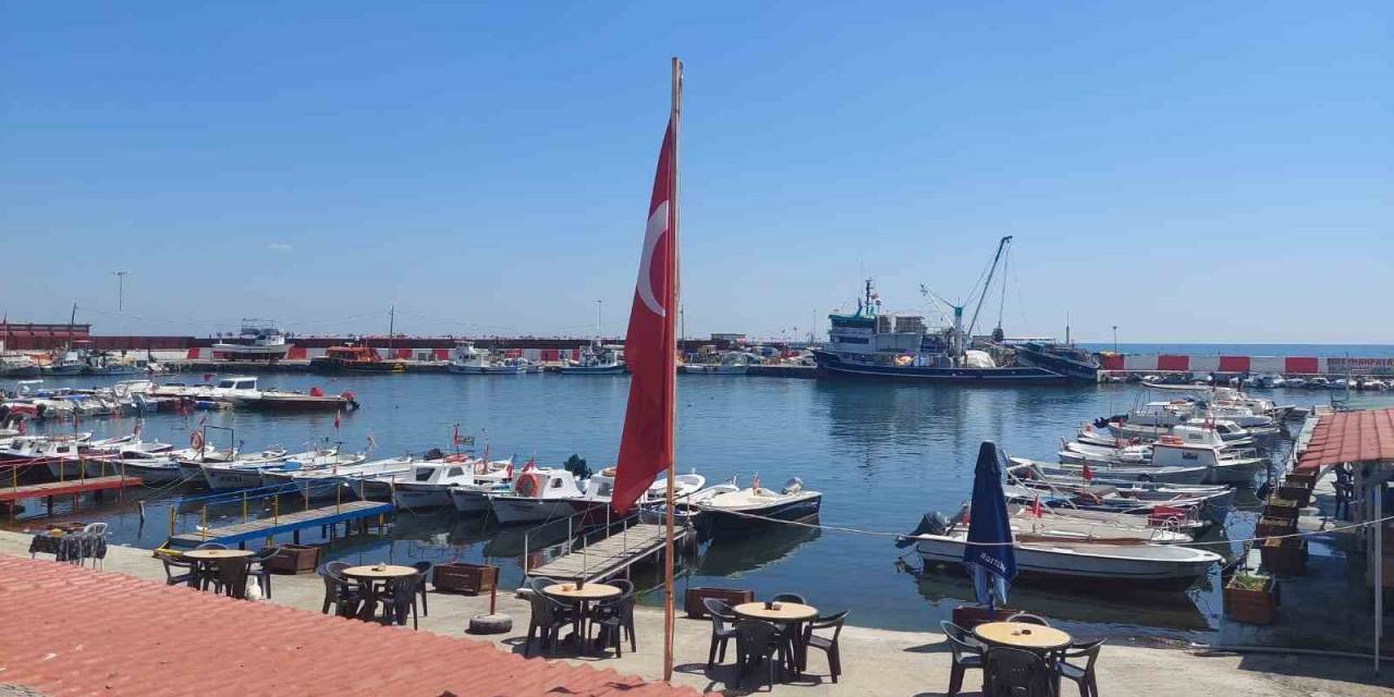 Tayfalarda 1 Eylül Heyecanı: Hamsi Ve Lüfer Bolluğu Bekleniyor