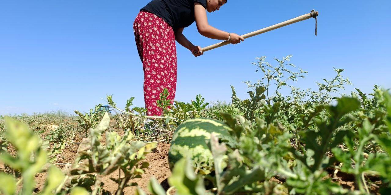 Köyün Hanımağası Artık Tıp Öğrencisi Oldu