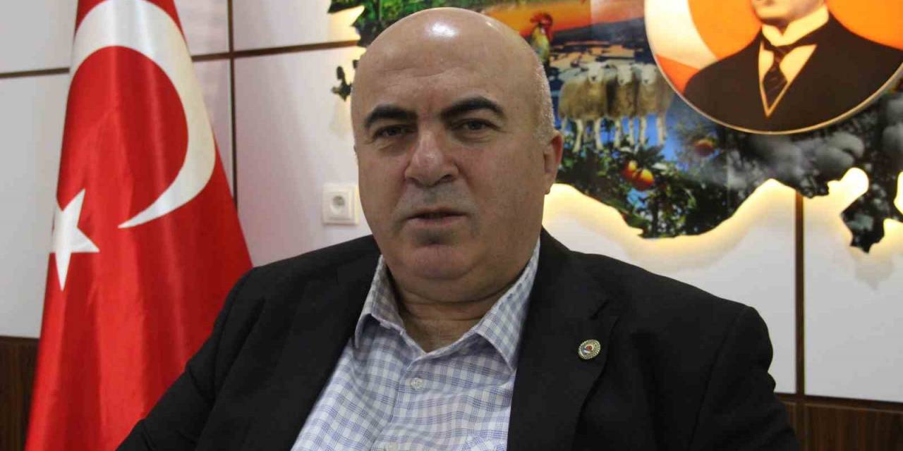 Bayram: "Yaban Domuzları Çiftçinin Korkulu Rüyası Oldu"