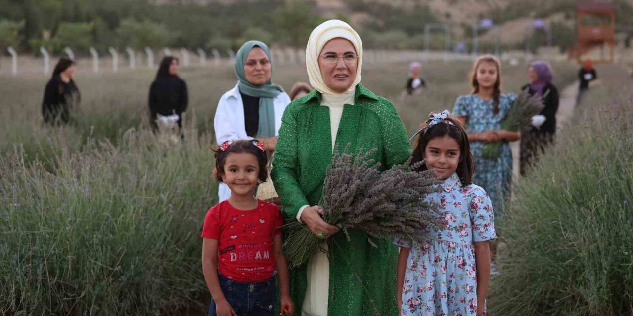 Emine Erdoğan, Ankara’da Ekolojik Köy Ziyareti Ve Lavanta Hasadı Yaptı