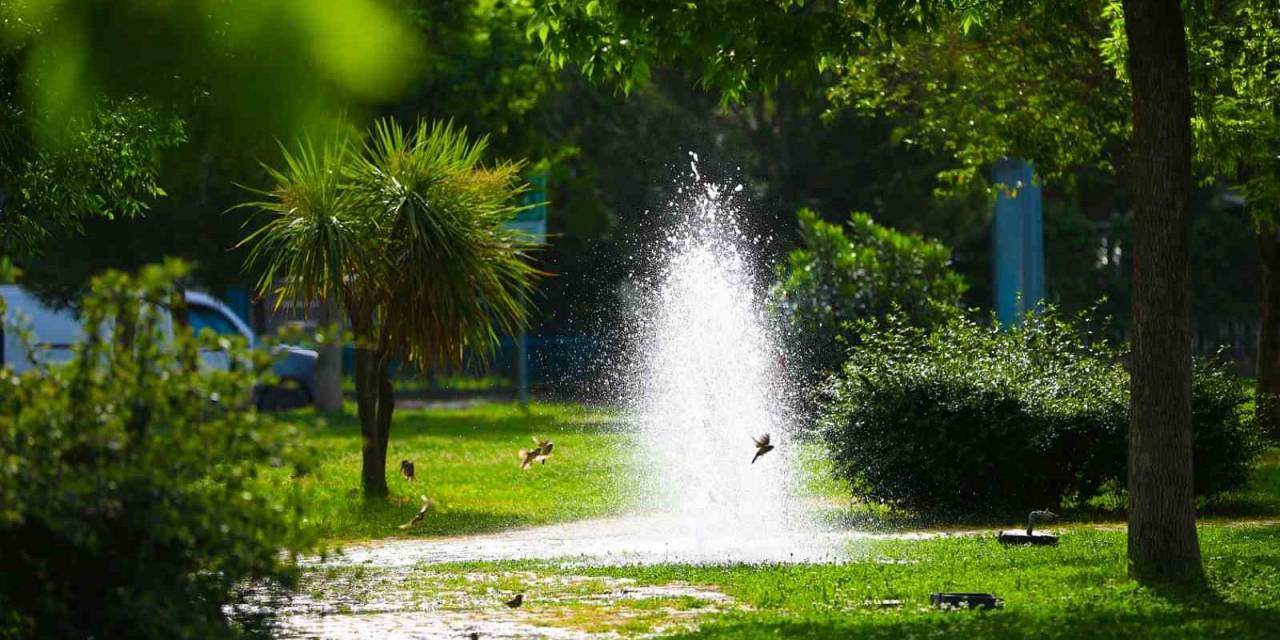 Bayraklı’ya Son 4 Yılda 152 Bin Metrekare Yeni Yeşil Alan Kazandırıldı