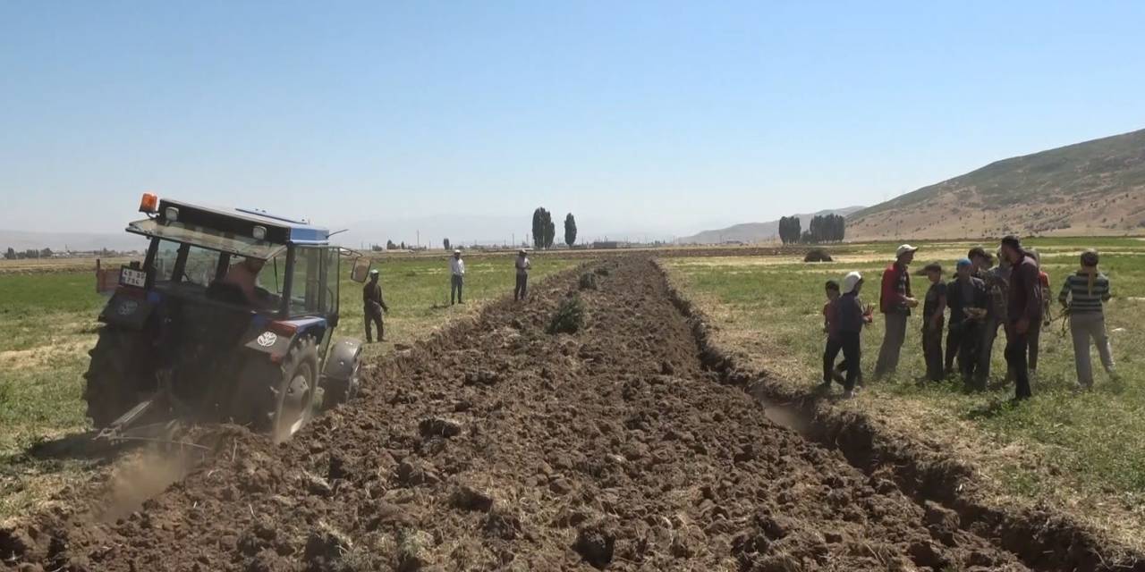 Meyan Kökü Bölgenin Geçim Kaynağı Oldu