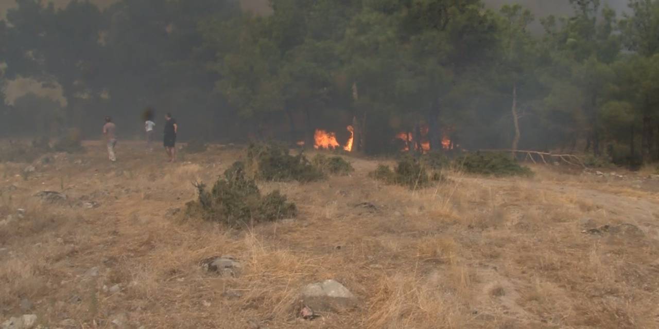 Çanakkale’deki Orman Yangınında Can Pazarı Kameraya Yansıdı