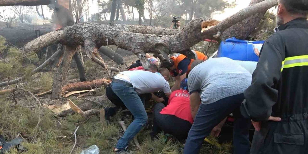 Orman Yangına Müdahale Ederken Üzerine Ağaç Devrildi