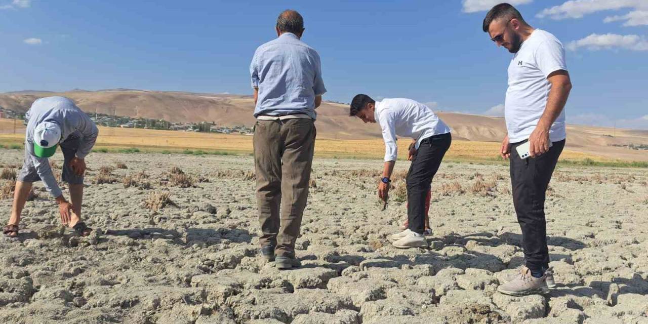 Heybeli Gölü Kuraklık Nedeniyle Tamamen Kurudu