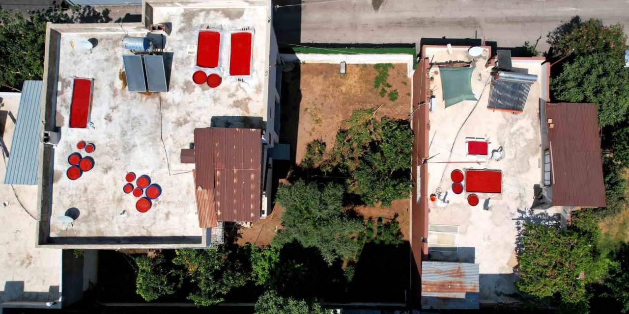 Salça Sezonu Başladı, Damlar Kızardı