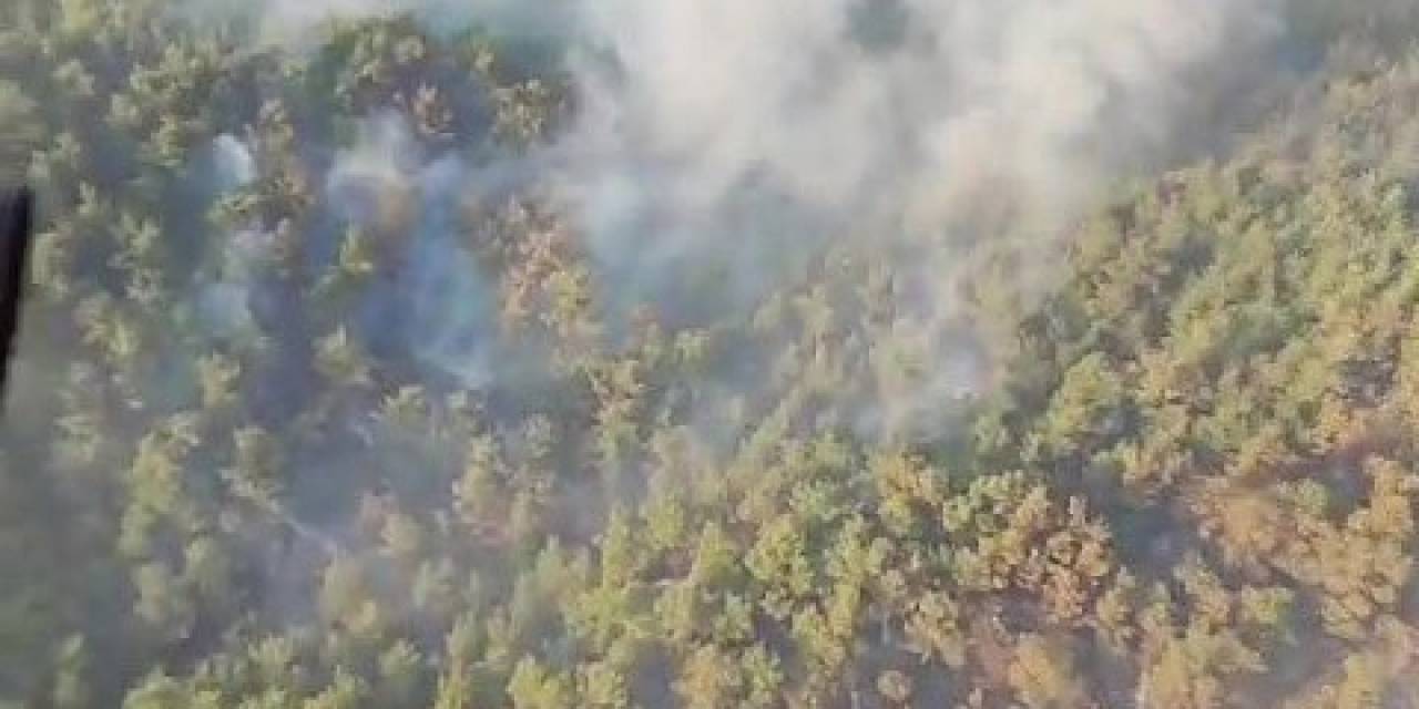Çanakkale’deki Orman Yangını Havadan Görüntülendi