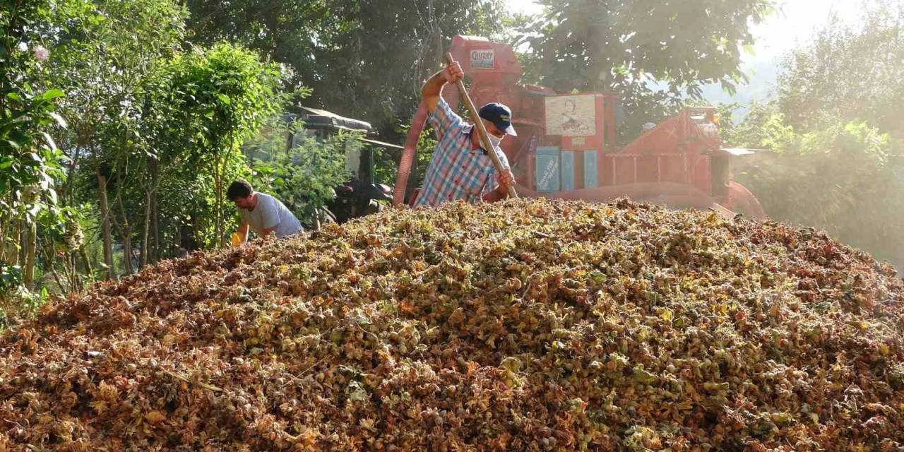 Yılda Sadece 1,5 Ay Çalışıyorlar: Saatlik Ücretleri 2 Bin Tl