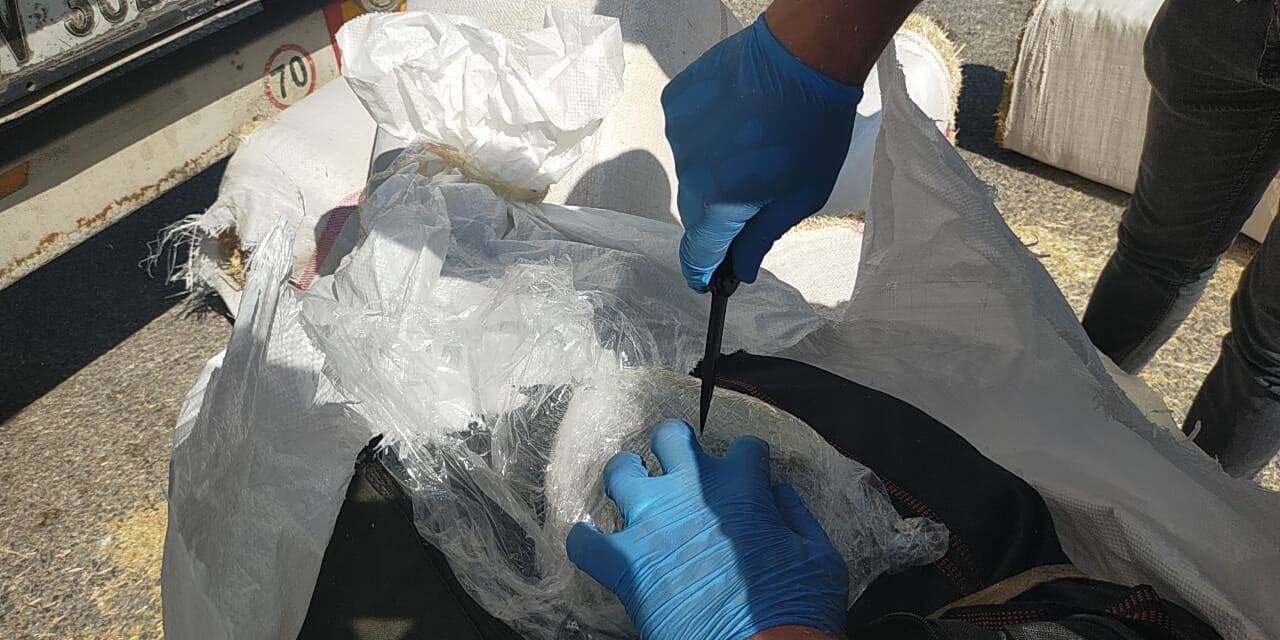 Samanların İçine Saklanmış 172 Kilo 200 Gram Skunk Ele Geçirildi
