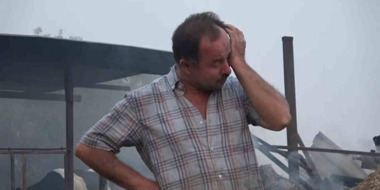 30 Yıllık Emekleri Tek Seferde Küle Döndü