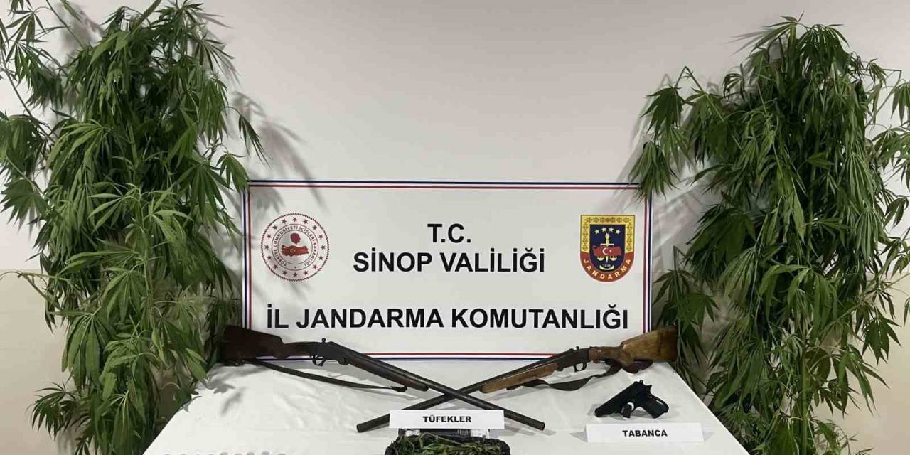 Sinop’ta Jandarmadan Uyuşturucu Operasyonu: 1 Gözaltı