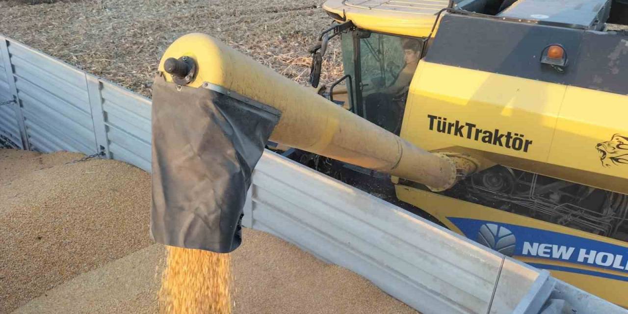 Osmaniye’de Mısırda Verim Çiftçinin Yüzünü Güldürdü