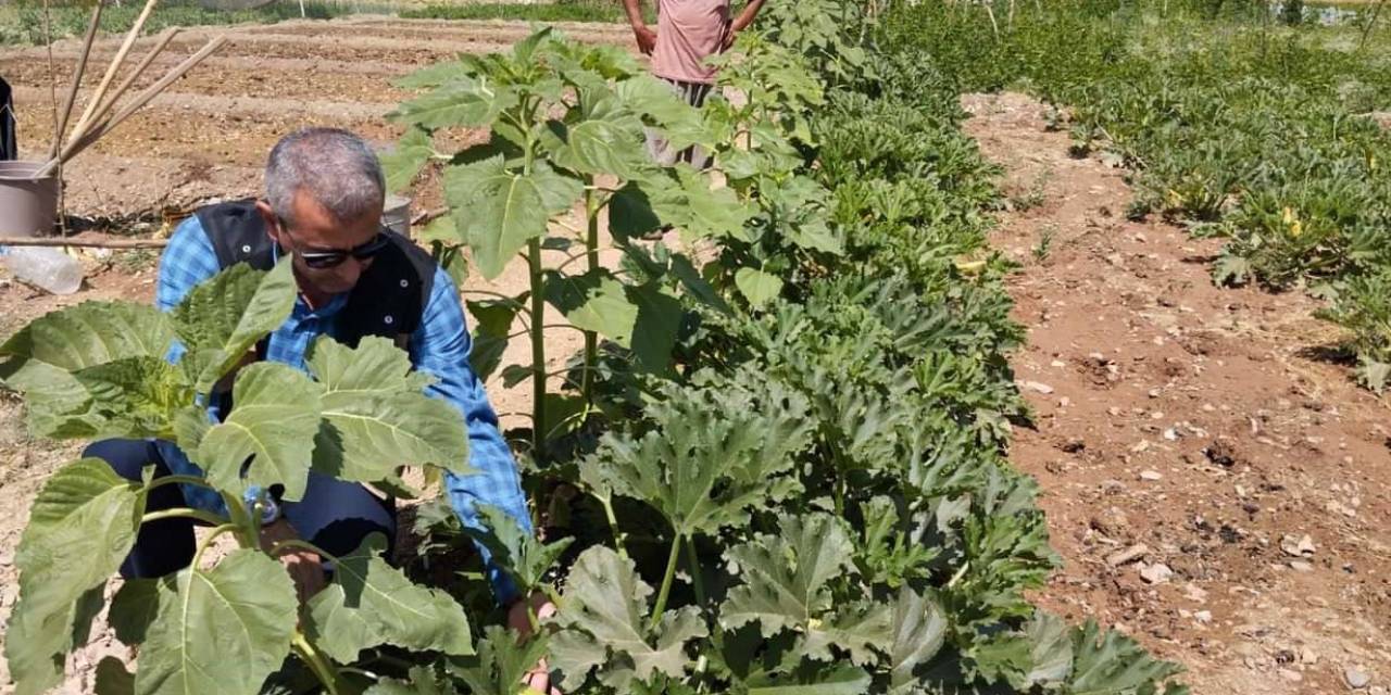 Bayburt Eko-köyde Vatandaşlar Kendi Hasat Ettiği Ürünleri Satın Alabiliyorlar