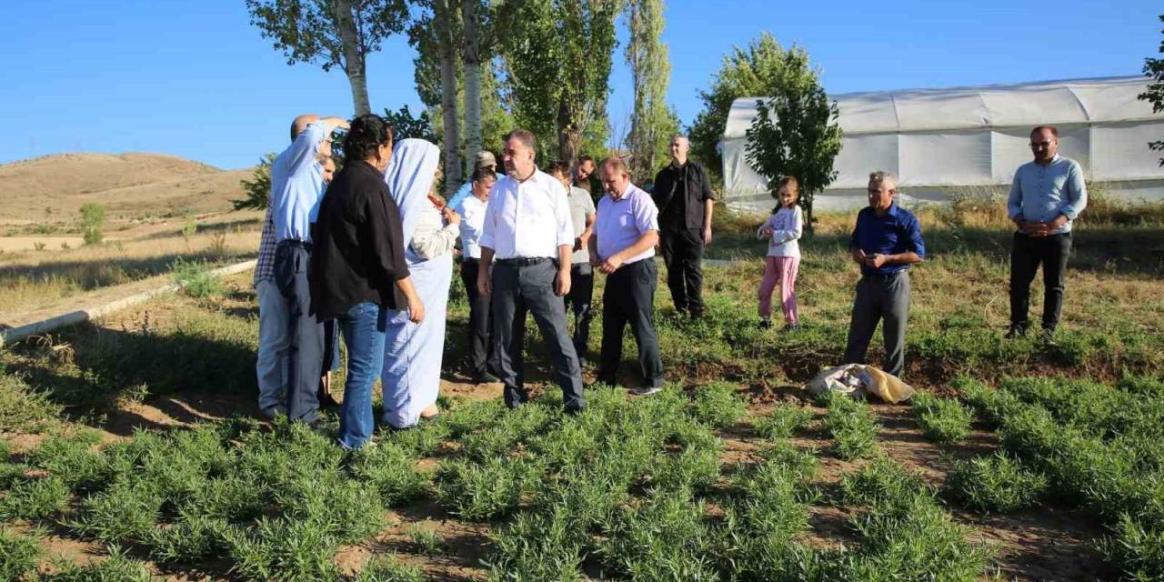 Vali Eldivan Aslandede Ve Yedigözeler Köylerini Ziyaret Etti