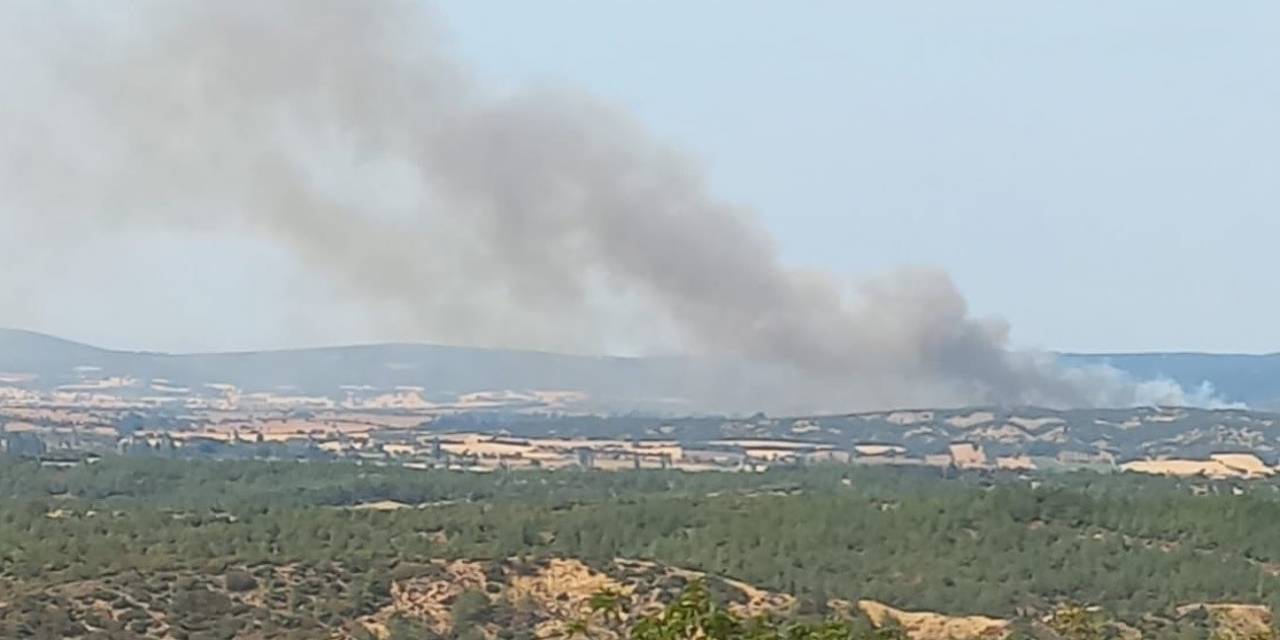 Çanakkale’de Bu Sefer Tarihi Yarımada Yanıyor