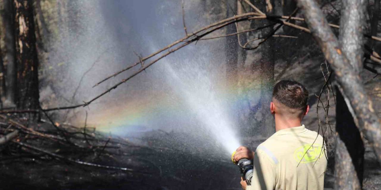 150 Hektar Kül Oldu