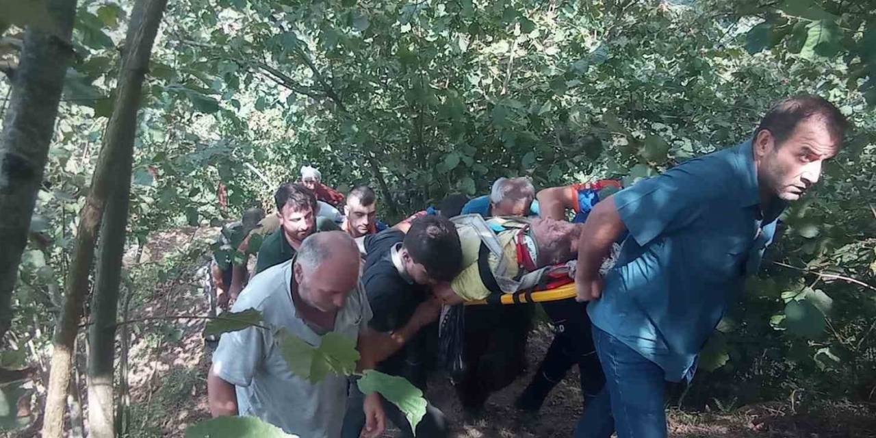 Fındık Toplarken 30 Metrelik Yamaçtan Aşağıya Yuvarlandı