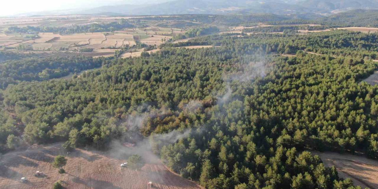 Kastamonu’da Orman Yangını Kontrol Altına Alındı