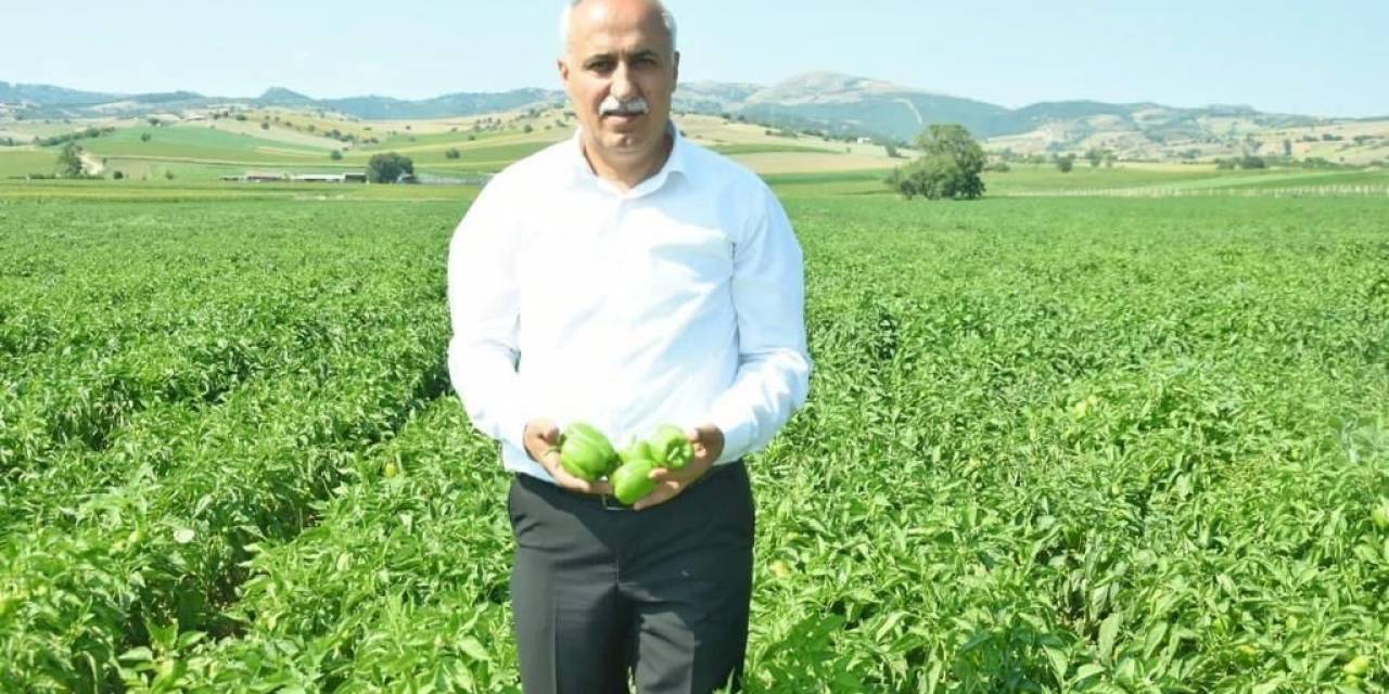 Bu Pazarda Fiyatı Çiftçi Belirleyecek