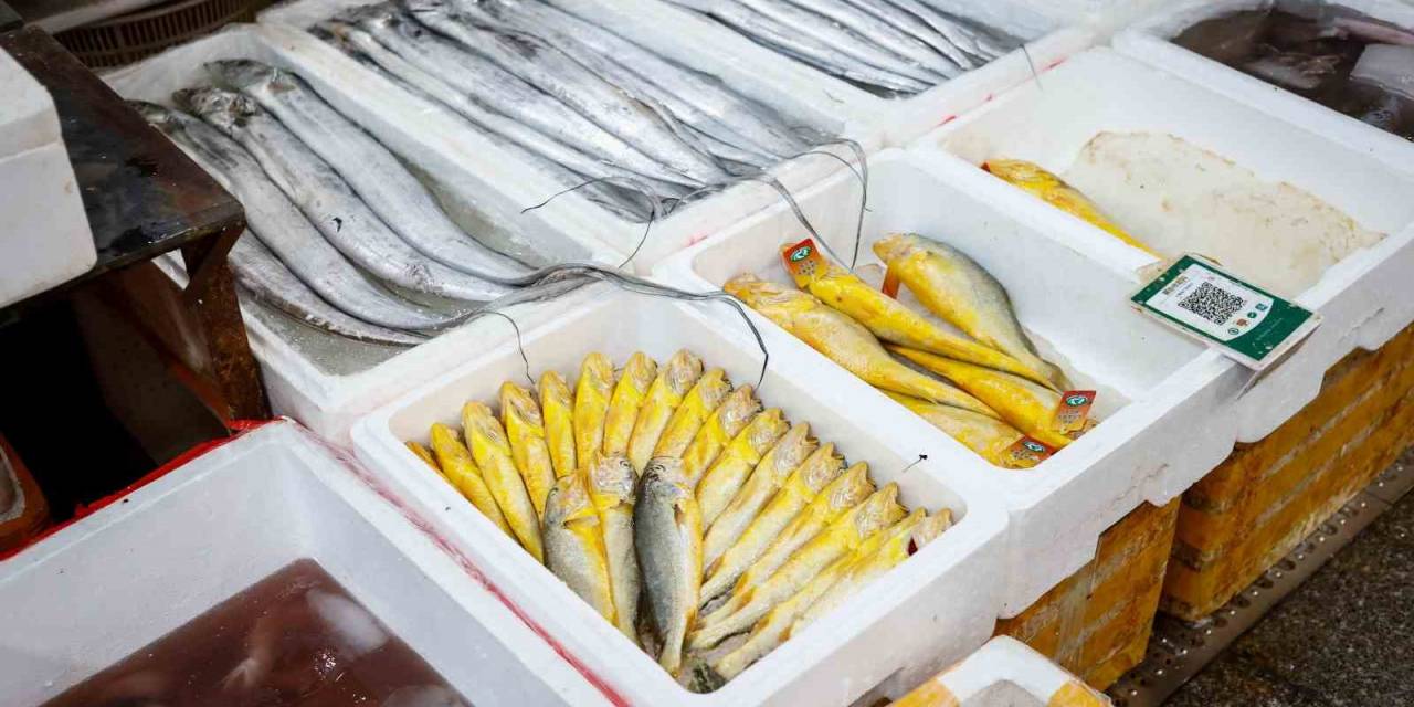 Çin’den Japonya’ya Fukushima Tepkisi: "Bencilce Ve Sorumsuzca"