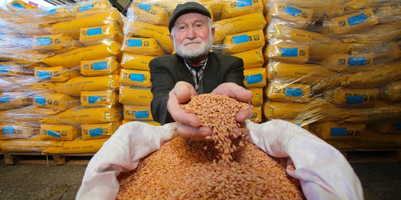 Kocaeli’de 4 Bin Çiftçiye Tohum Desteği