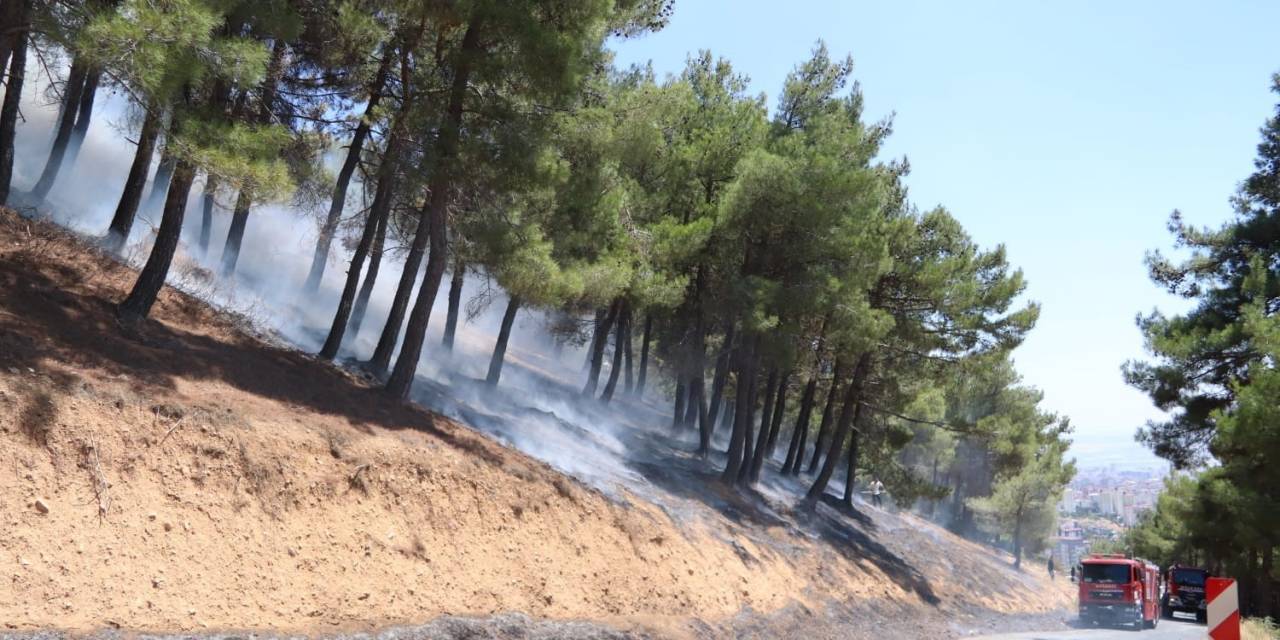 Kahramanmaraş’taki Orman Yangınında Bir Kişi Gözaltına Alındı