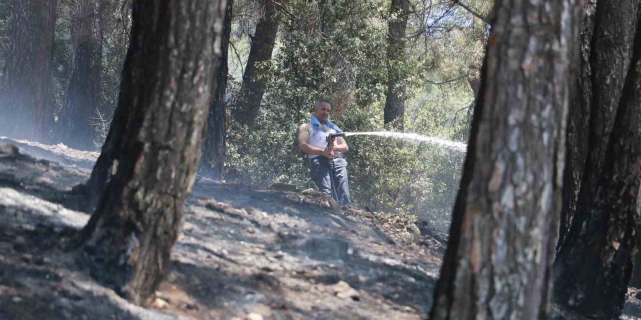 Kahramanmaraş’taki Orman Yangını Kontrol Altına Alındı