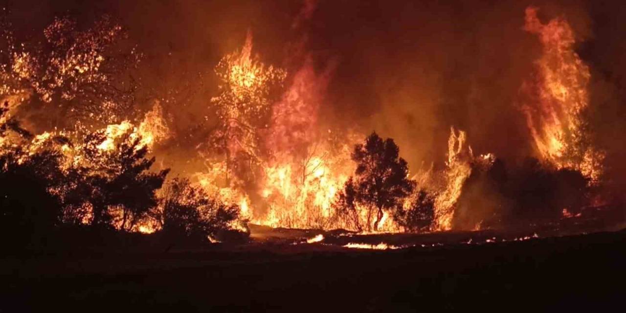 Çanakkale Ruhuyla Mücadele Ettiler, Yangını 48 Saat Dolmadan Kontrol Altına Aldılar