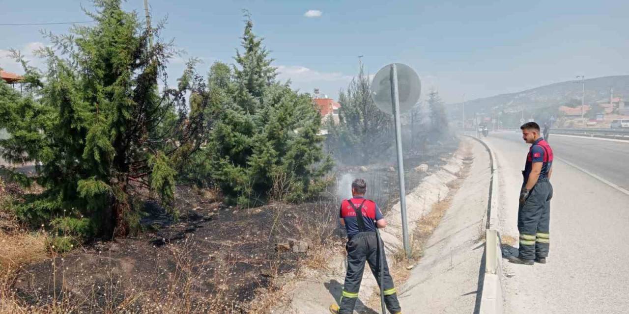 Araçtan Atılan Sigara İzmariti Yangına Sebep Oldu