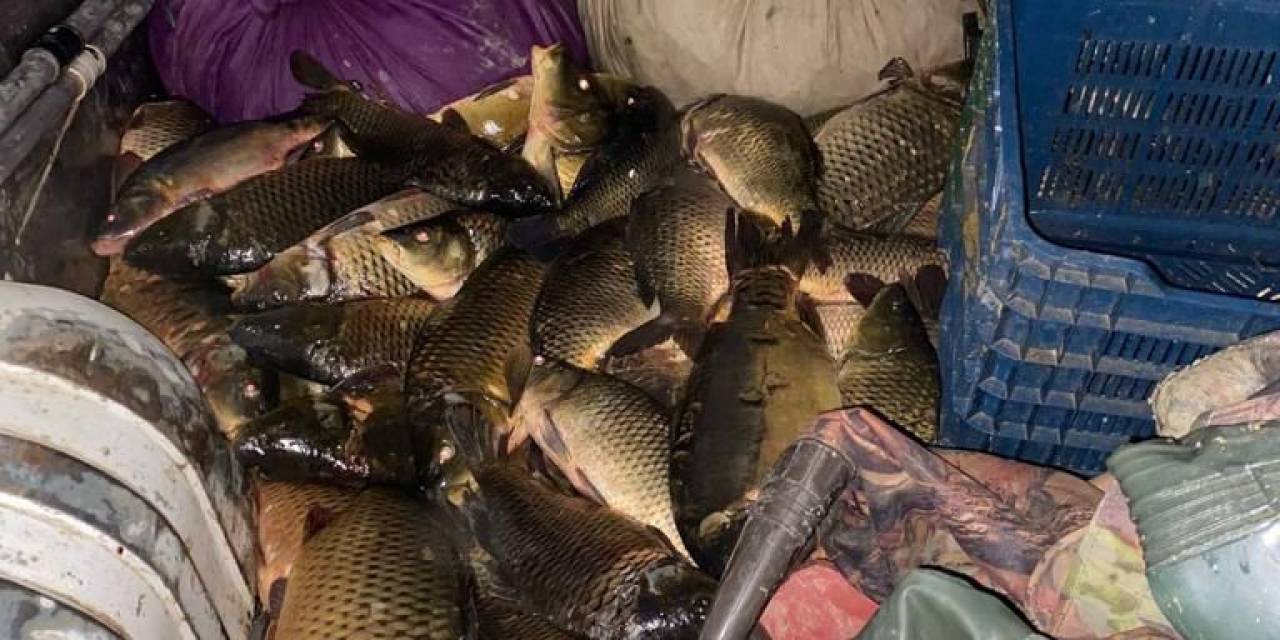 Kaçak Balık Avcılarına Suçüstü Baskın