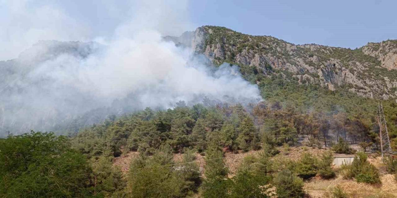 Bilecik’te Çıkan Orman Yangını Kontrol Altına Alınmaya Çalışılıyor